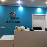 1595256498_WhatsApp Image 2019-12-07 at 15.16.29.jpeg